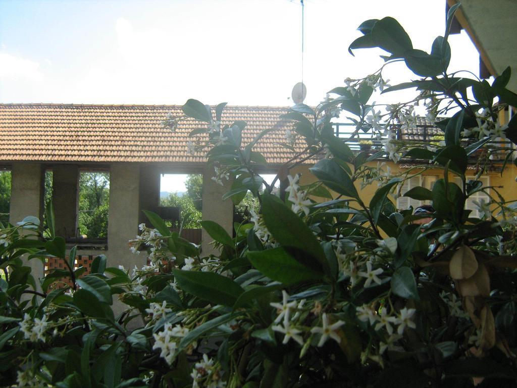 Fattoria Del Pino Bed and Breakfast Orta San Giulio Exterior foto