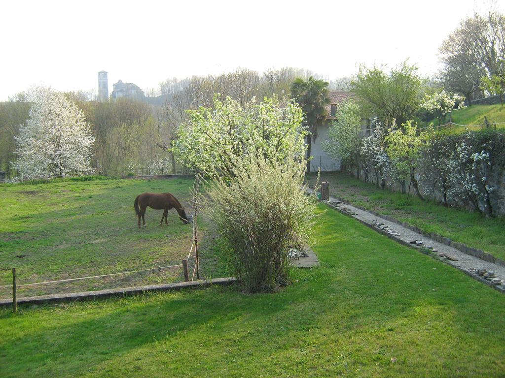 Fattoria Del Pino Bed and Breakfast Orta San Giulio Exterior foto