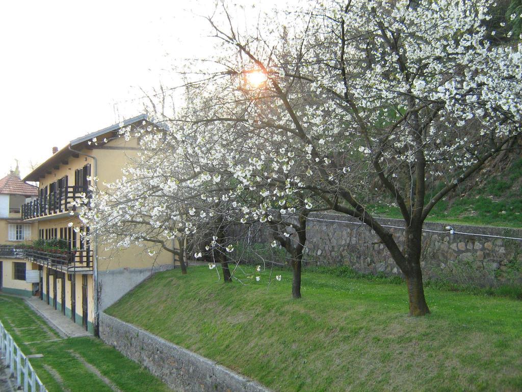 Fattoria Del Pino Bed and Breakfast Orta San Giulio Exterior foto